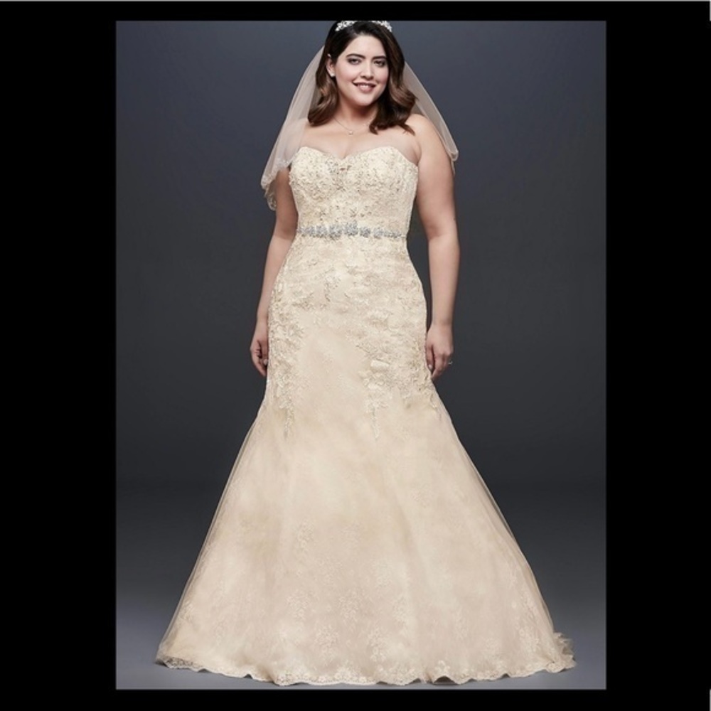 NEW David’s Bridal Size 18W Beaded Lace Plus Size Mermaid Wedding Dress